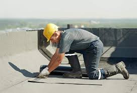 Roof Moss and Algae Removal in Meadow Vale, KY